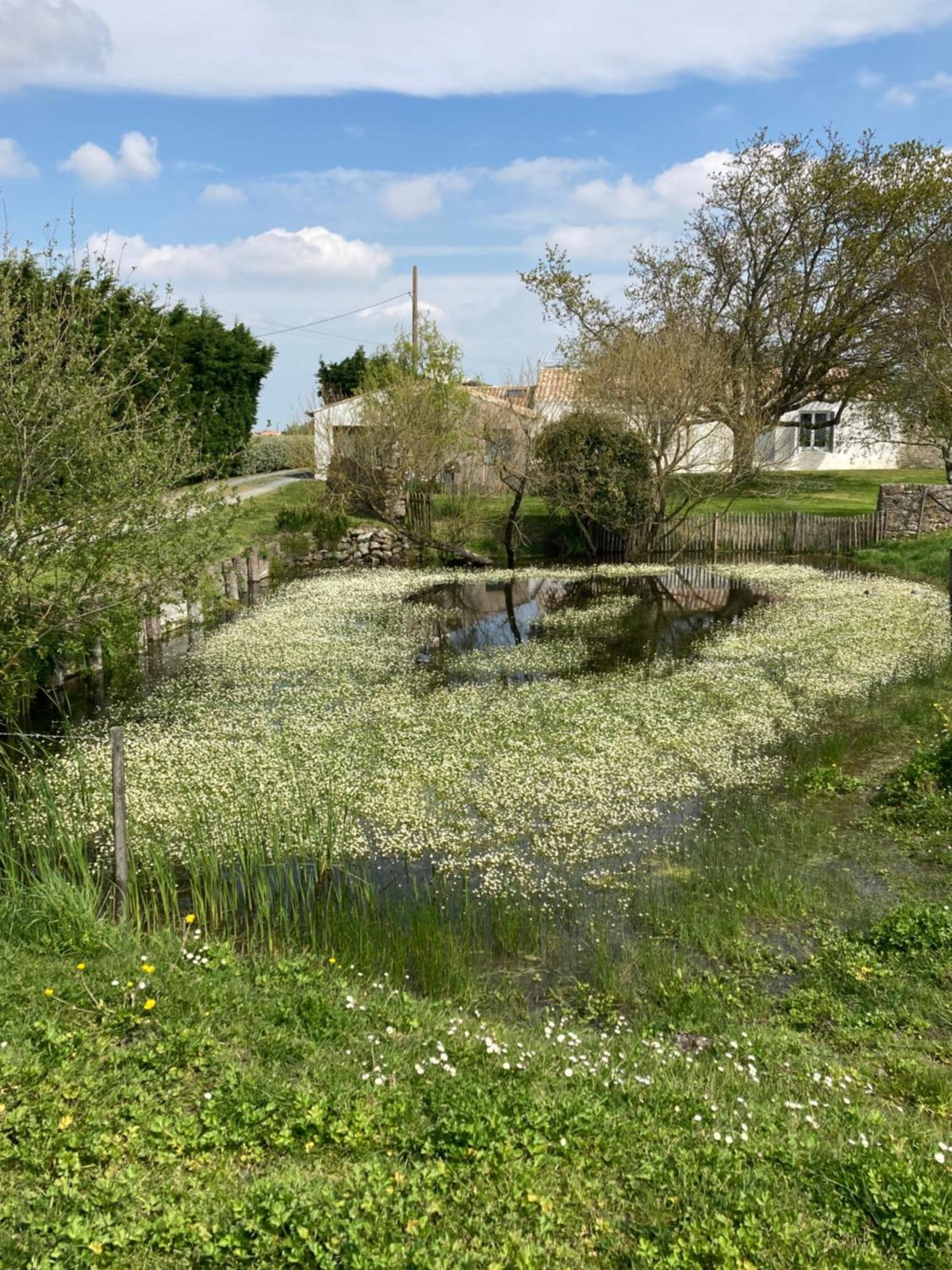 Les Pensions Du Joslin Bouin  Exterior photo