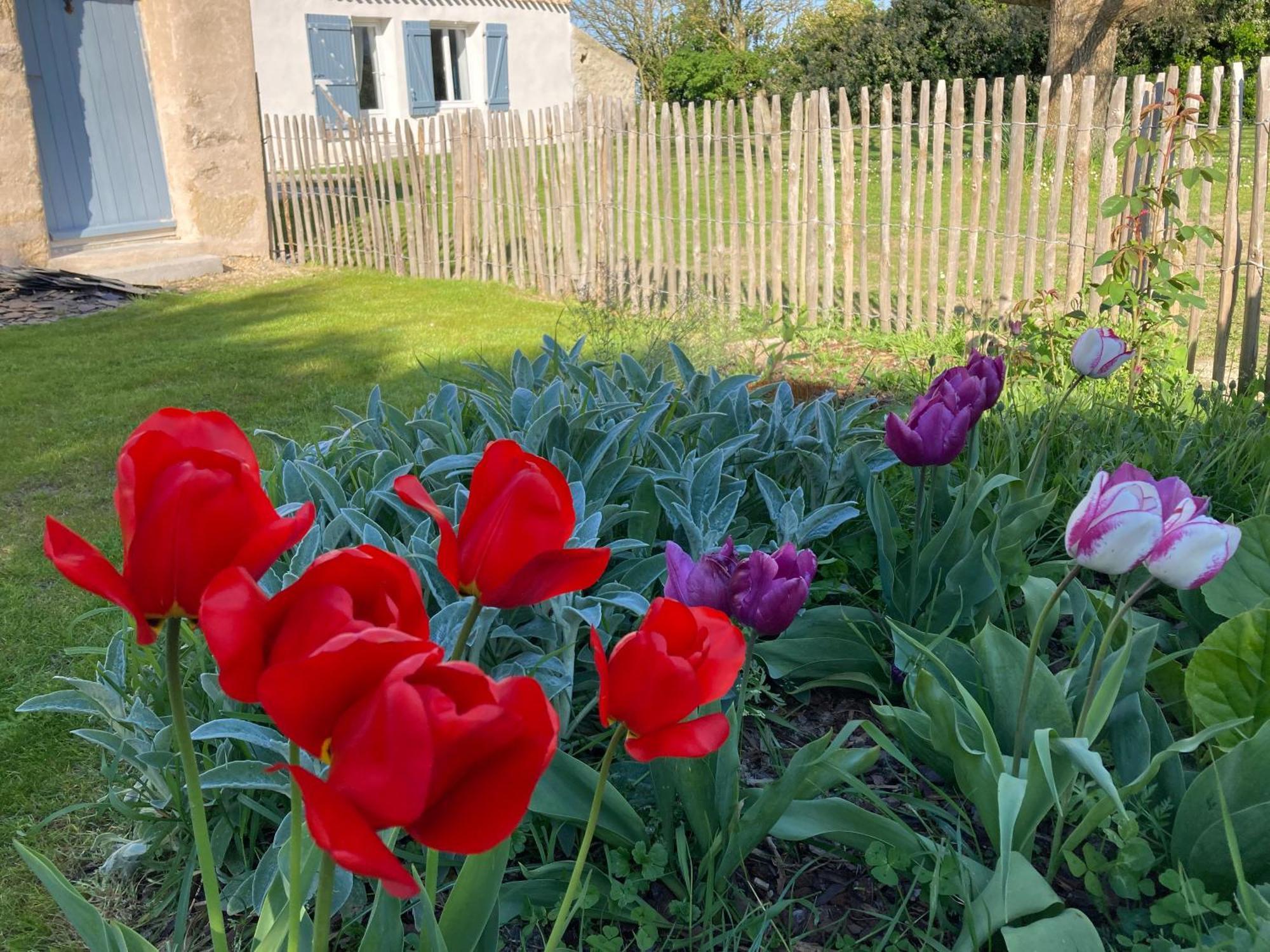 Les Pensions Du Joslin Bouin  Exterior photo